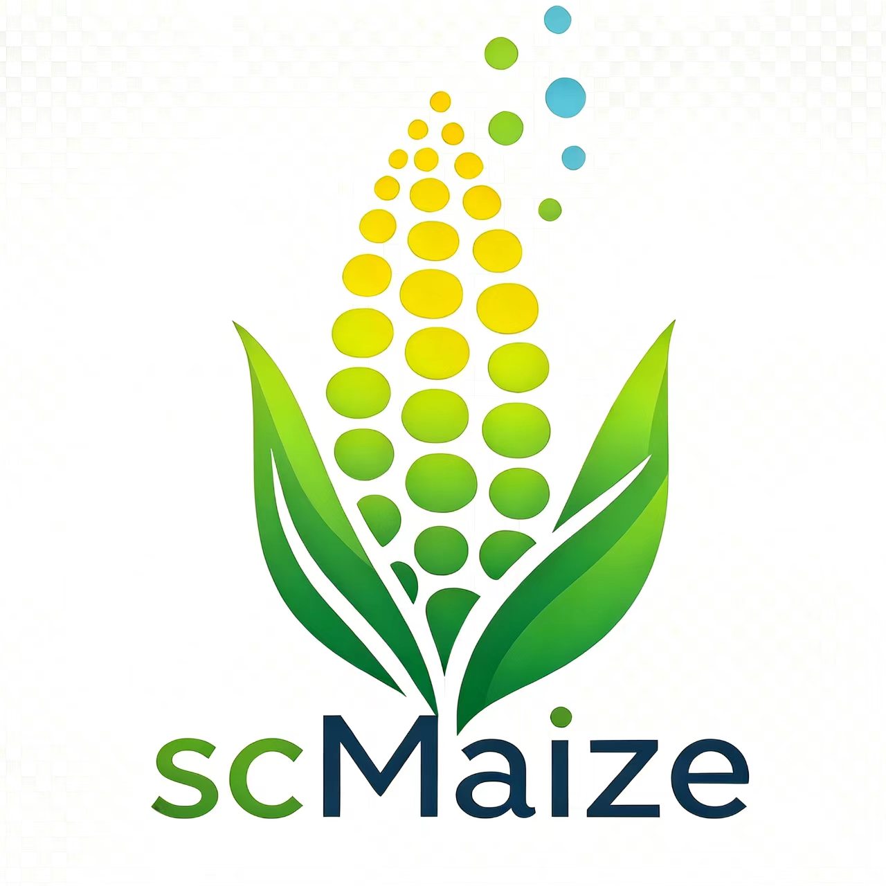 scMaize logo